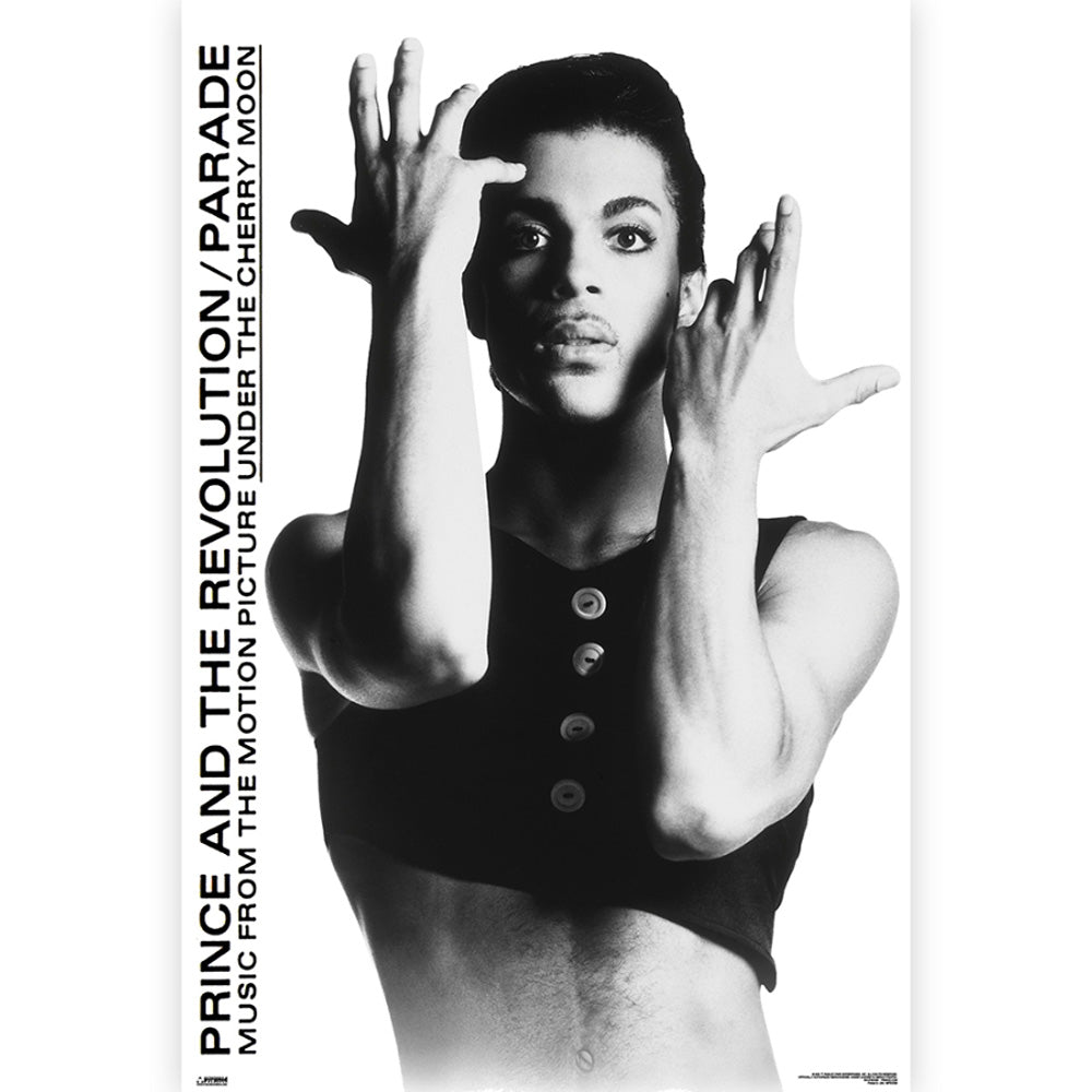 PRINCE - (追悼 10年 ) - Parade